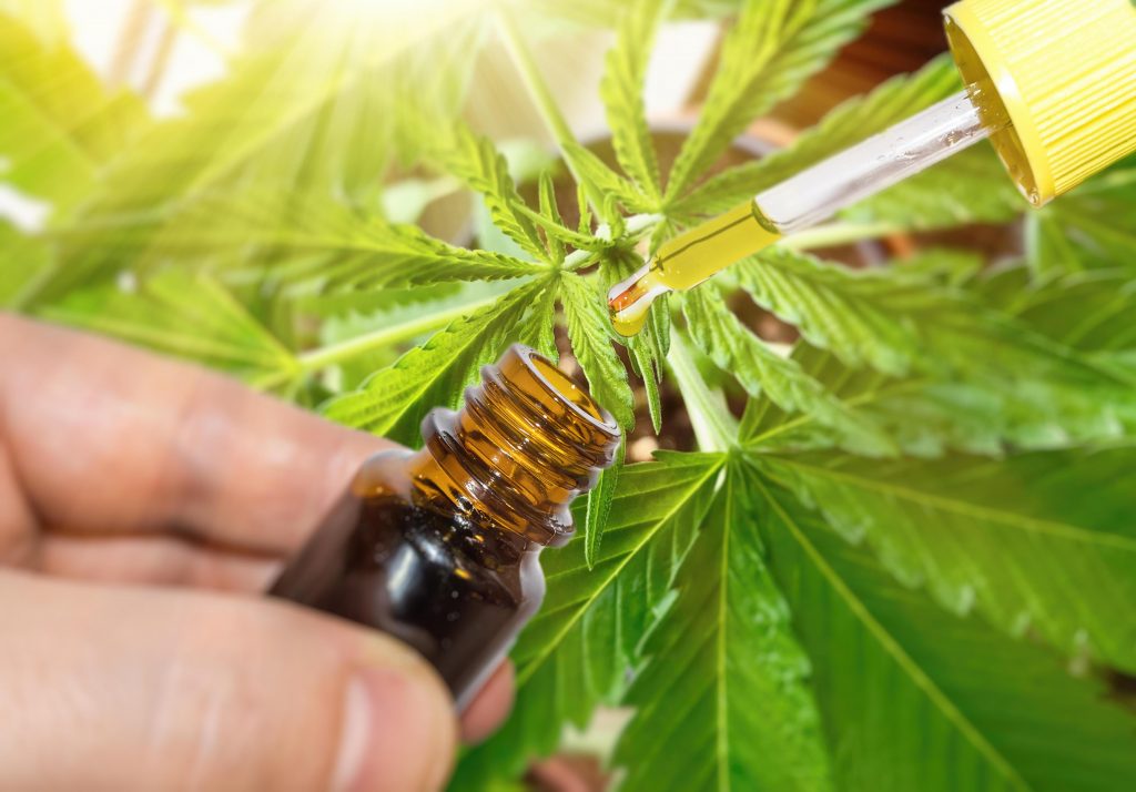 Inconsistent, inaccurate information hinders medical cannabis’ potential to ‘revolutionize’ health, wellness