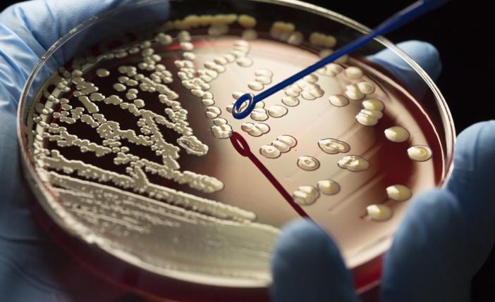 The rise of superbugs: Facing the antibiotic resistance crisis